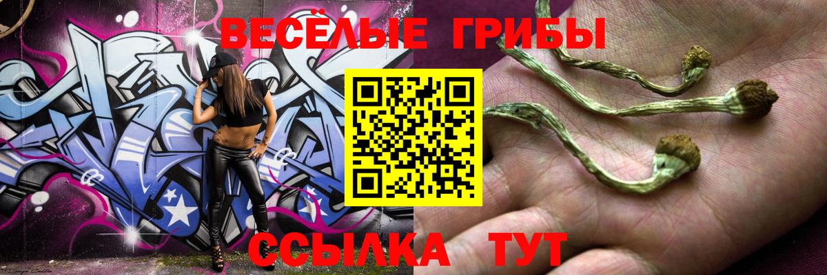 Уварово  Галлюциногенные грибы прущие грибы  Вход с VPN 